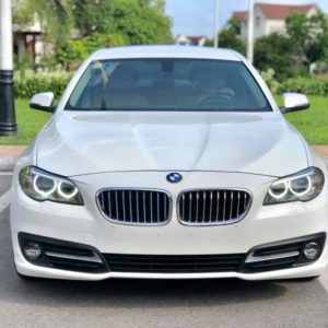 Used 2010 BMW 5 SERIES520I for Sale BG841876  BE FORWARD